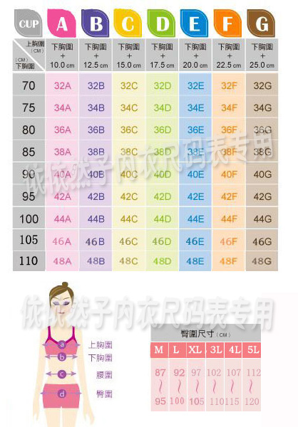 Fixation pour soutien-gorge - Ref 825155 Image 18