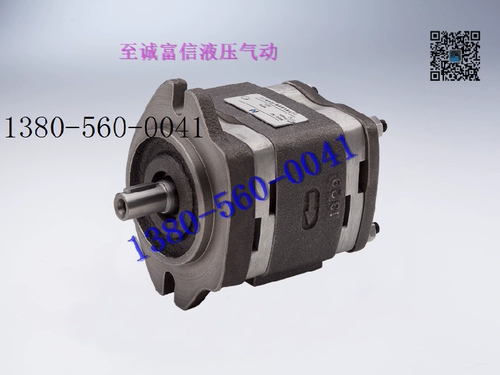 Китайская жидкая жидкость Hoyea 1GP-8-8 Внутреннее сетчатое насос 1GP-10 1GP-6.3