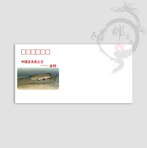 White Sturgeon 140g DL thick art seal philatelic envelope