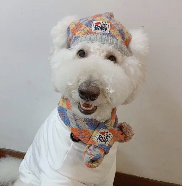 (DOG DEPT) Parent-child color grid pet wool hat scarf Corgi Shiba Inu golden retriever dog hat big dog hat