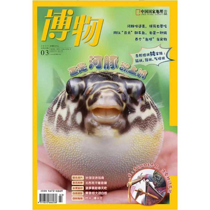Natural History Magazine March 2023 It's the Time When Pufferfish Are about to Spawn. Flipperfish, Wild Plum, Lynx, Ancient Giant Turtle, Guide to Wandering Earth, Goro, Pineapple Natural History Magazine March 2023 It's the Time When Pufferfish Are about to Spawn. Flipperfish, Wild Plum, Lynx, Ancient Giant Turtle, Guide to Wandering Earth, Goro, Pineapple