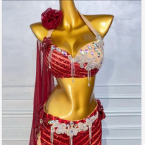 Dance Wing Belly Dance Performance Performance Practice Clothing Women 2024 New Oriental Dance Long Skirt Suit wzy083
