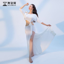 Dance wing belly dance practice clothing female 2020 new set for beginners Oriental dance sexy one-piece dress 3180