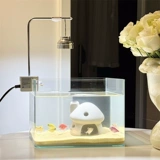 *Красивая маленькая тетя*xiaohongshu тот же рабочий стол в маленькой рыбной танк