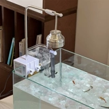 *Красивая маленькая тетя*xiaohongshu тот же рабочий стол в маленькой рыбной танк