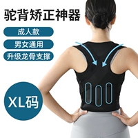 [Обновите три киле-поддержка] Код Black-Adult XL (подходит для 138-156 кот)