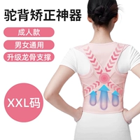 [Обновите поддержку три киля] Код Pink-Adult XXL (подходит для 152-178 кот)