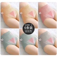 Группа F -01 -кожа цвет+цвет кожи+равиоли+зеленый+зеленый+серой