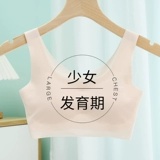 俞兆林 Топ без лямок, детское нижнее белье для школьников, бюстгальтер-топ, для средней школы