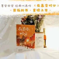 Во время Blizzard