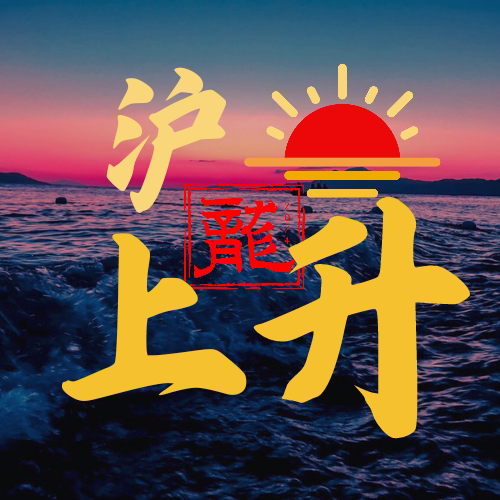 沪上龙昇