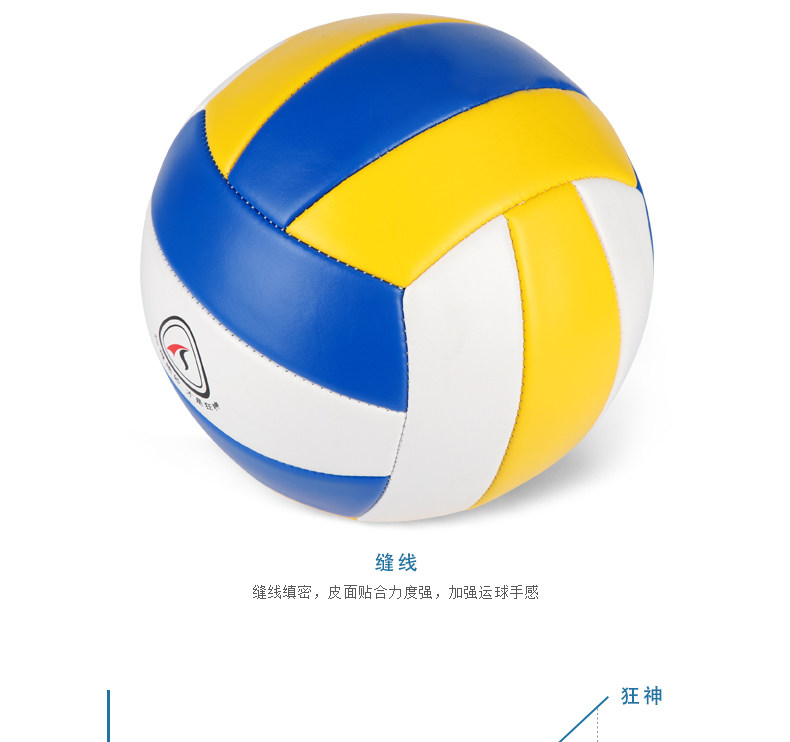 Ballon de volley-ball - Ref 2012506 Image 10