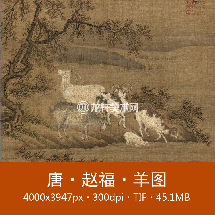 Zhao Fu Sheep Tutu Page Tang Dynasty Famous Painting Country Painting Goat Small View Painting Work Pen Animal small goods Non-physical electronic picture