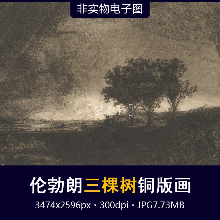 伦勃朗 三棵树 针刻铜版画 荷兰名画 版画素描画风景画电子图素材