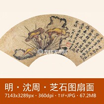 Shen Zhouzhi Shi Tu Fan Face Ming Dynasty State Painter Painter of the Lucid Lucid and Lucid Lucid mountain stone flower and bird painting Non-physical electronic map