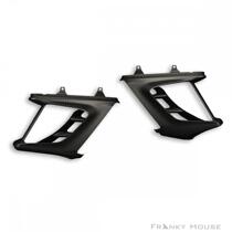 (F home) DUCATI DUCATI Big Devil DIAVEL Carbon fiber water tank cover