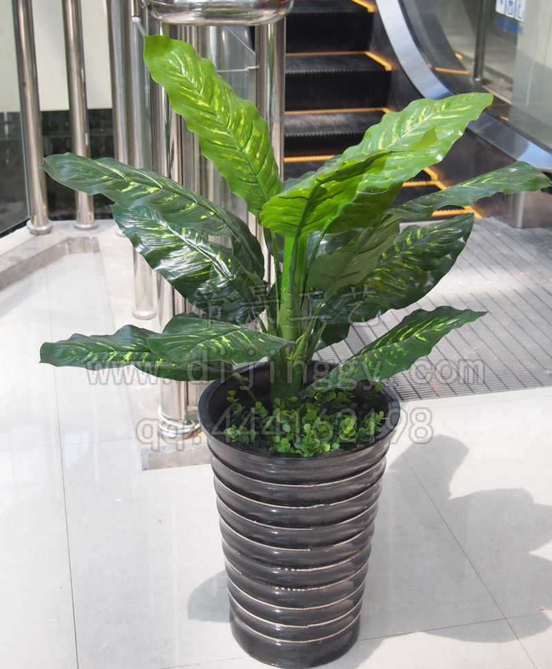 仿真植物花假装饰人造树手感过胶单头大叶万年青家居布置落地