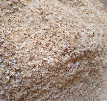 Mealworms barley worms bread worms crickets live special feed wheat bran