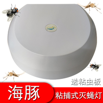 Stick-Catching fly extinguishing lamp mosquito extinguishing lamp insecticide lamp devilizer restaurant hotel bakery 8W