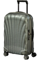 Новый металлический зеленый полюс с двойным хранением