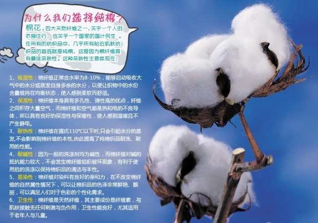 Số vàng Yi Shijia truy cập chính hãng gối cưới khăn terry vải cao thêu bông gối gối cưới - Khăn gối vỏ ga gối