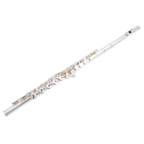 Bastet 100 Stelong flute instrument BFL-556 student beginner test grade 16 closed hole silver plated Western flute