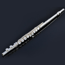 Bastet 100 Steg flute BFL-657 carved key 16 open and closed hole Dual-purpose Western flute instrument student beginner