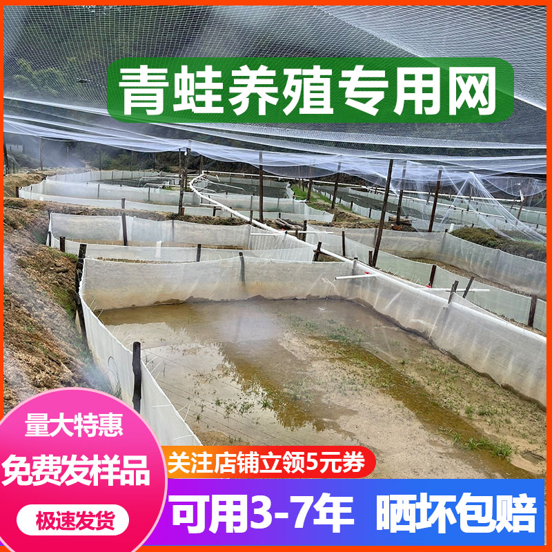 Frog Fending Network Frog Farming Network Frog Farming Network Frog Frog Frog Frog Frog Frog Frog Frog Frog Frog Frog Frog Frog Frog Frog Frog Frog Frog Fabric