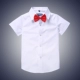 Áo sơ mi trắng trẻ em tay ngắn cotton cotton sơ mi giản dị mùa hè học sinh đồng phục biểu diễn quần áo trắng - Áo sơ mi đồ bộ bé trai