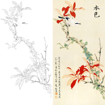 YZ yu zhi zhen flower-and-bird painting line drawing practice papers painting line drawing gou xian papers physical print may be color