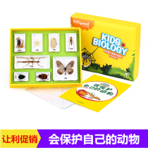 Pippi teaches thousands of sails childrens teaching tools to protect their animals bamboo insects starfish crab shell specimens set
