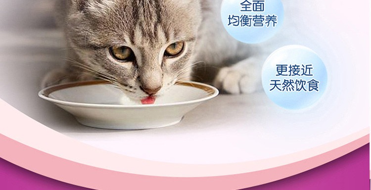 Weijia Miao gói tươi vào thức ăn cho mèo và vỗ béo thức ăn cho cá ngừ mèo ăn nhẹ 12 gói thức ăn ướt mèo Weijia - Đồ ăn nhẹ cho mèo làm đồ ăn cho mèo