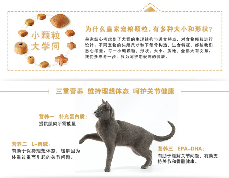 Thức ăn cho mèo ngắn của Hoàng gia Anh BS34 Thức ăn cho mèo Shorthair của Anh Thức ăn chính cho mèo 2kg 25 Tỉnh thức ăn cho mèo royal canin