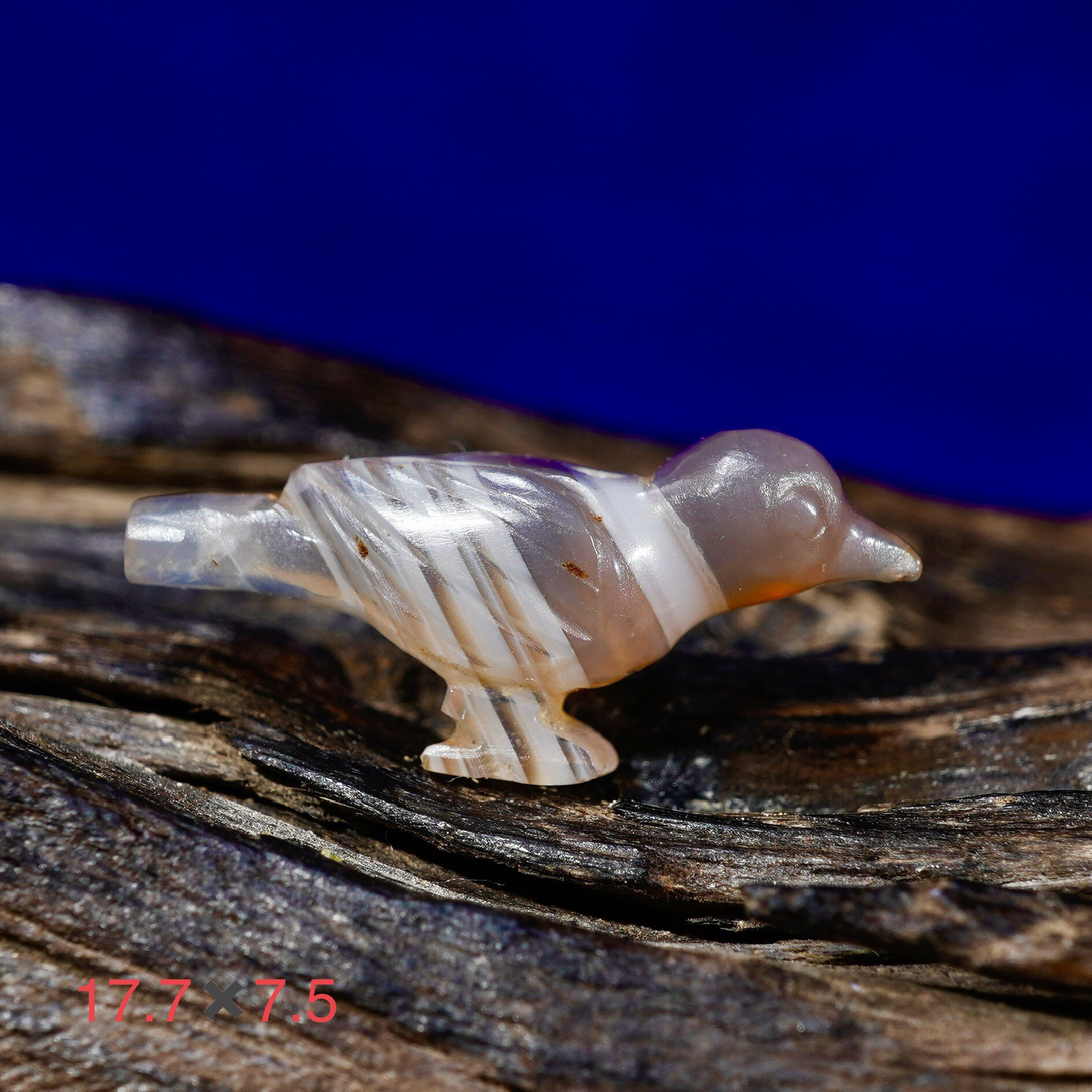 274 Millennium Ancient Everest Millennium Tocsilla Round Round Carved and Tangle Birds