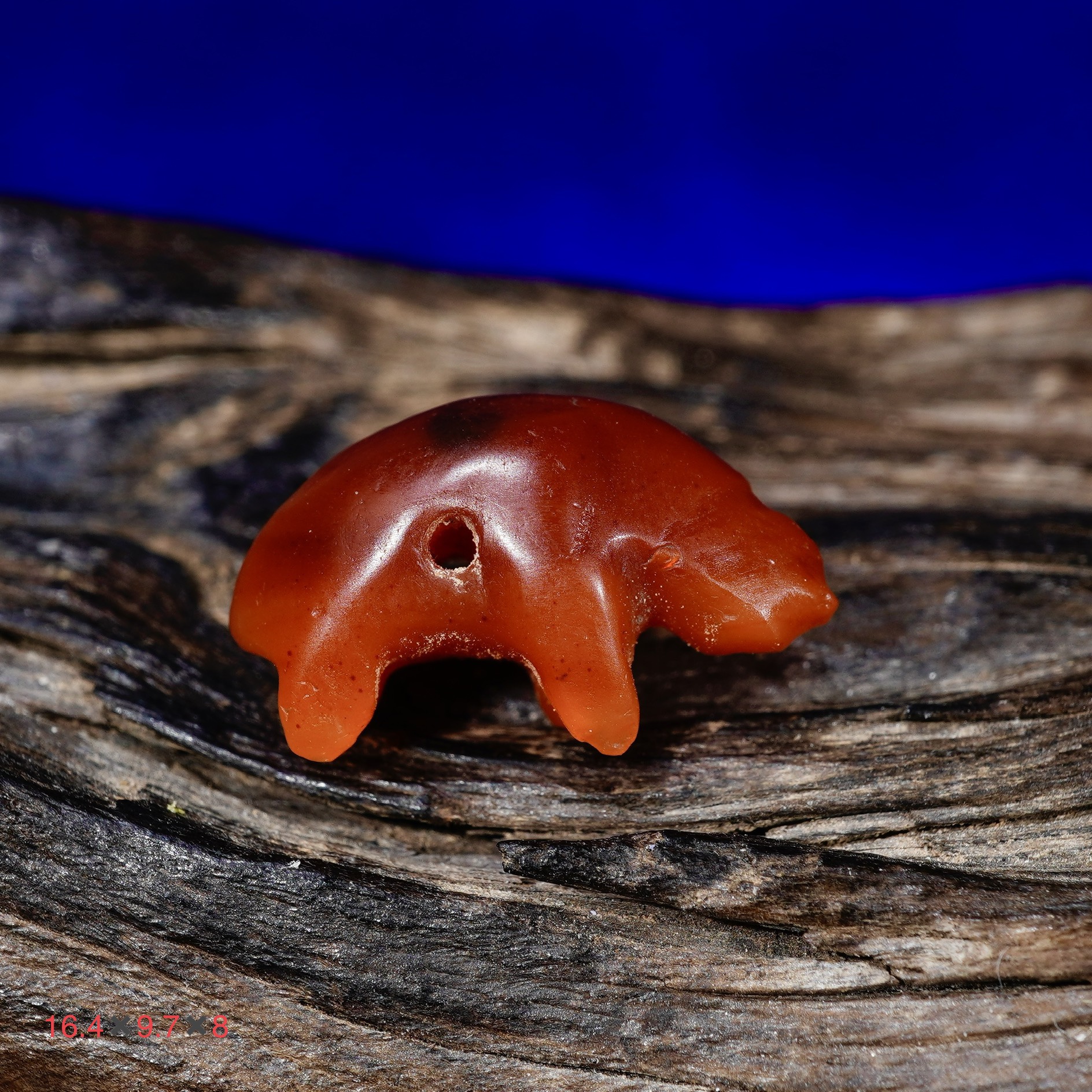 274 millennia of ancient Everest, the ancient thousand-year Taksila full of small animals