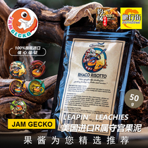 LL fruit puree American original climbing pet eyelash horn giant monster Gai Goya R genus gecko color-enhancing high calcium mixed feed