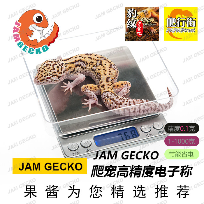 Climbing and climbing bug BAO WEN Palace Body Weight Measure Monitoring Health Index Nutrition deployment high-precision electronic scale