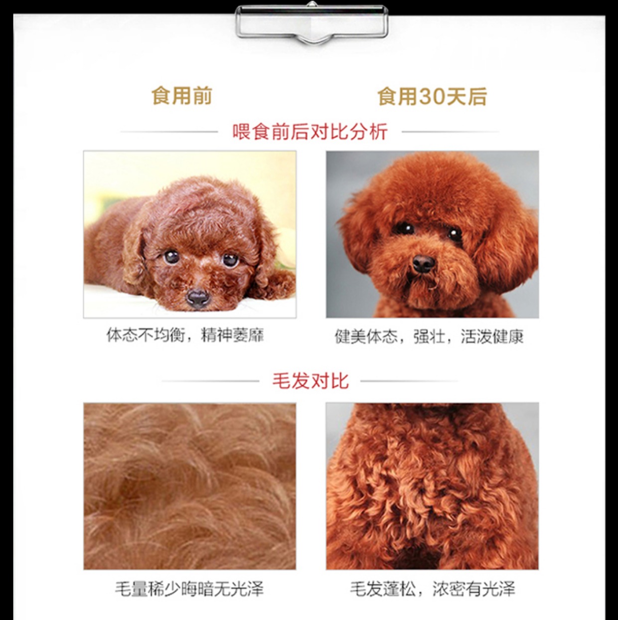 Thức ăn cho chó 2,5kg5 kg loại phổ quát Jinmao Teddy Satsuma đầy đủ dinh dưỡng bánh sữa lớn và cỡ trung bình chó trưởng thành chó con chó con - Chó Staples cám cho chó