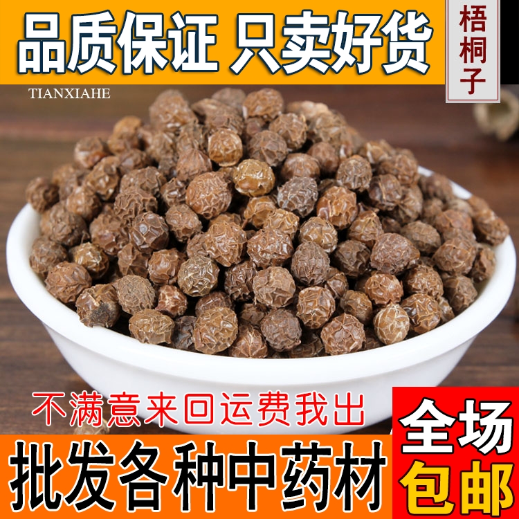 Sycamore Seed, Sycamore Seed, Sycamore Seed, Sycamore Seed, Sycamore Seed, Sycamore Seed