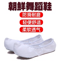 North Korean dance ethnic minority dance softbottom single shoe stage adult arts tation practice Skill Shoes Men Dance Hook Shoes