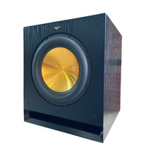  PASA 12 inch Nouveau Riche gold super subwoofer Active gun subwoofer