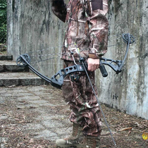 God Point Peregrine Composite Pulley Bow Outdoor Fight Fish Anti Trashbow Archery Archery Archery Archery Archery Archery