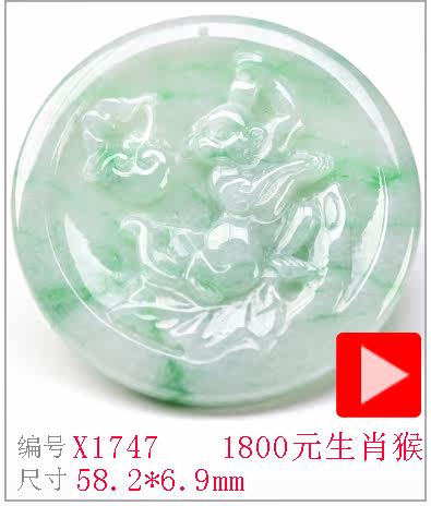 X1747.jpg