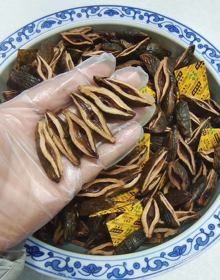 益阳榔子小哥的LOGO