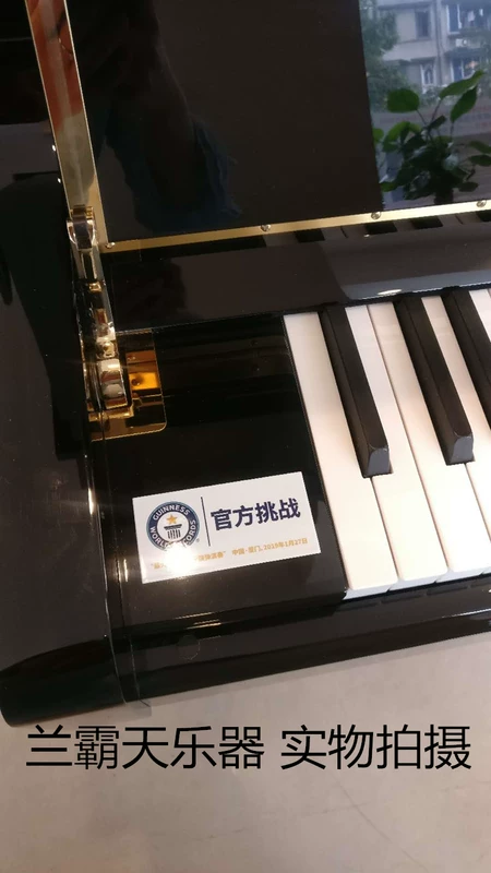 Helen piano hoàn toàn mới JNS122 Guinness phiên bản giới hạn đàn piano thẳng đứng chơi piano thẳng đứng - dương cầm