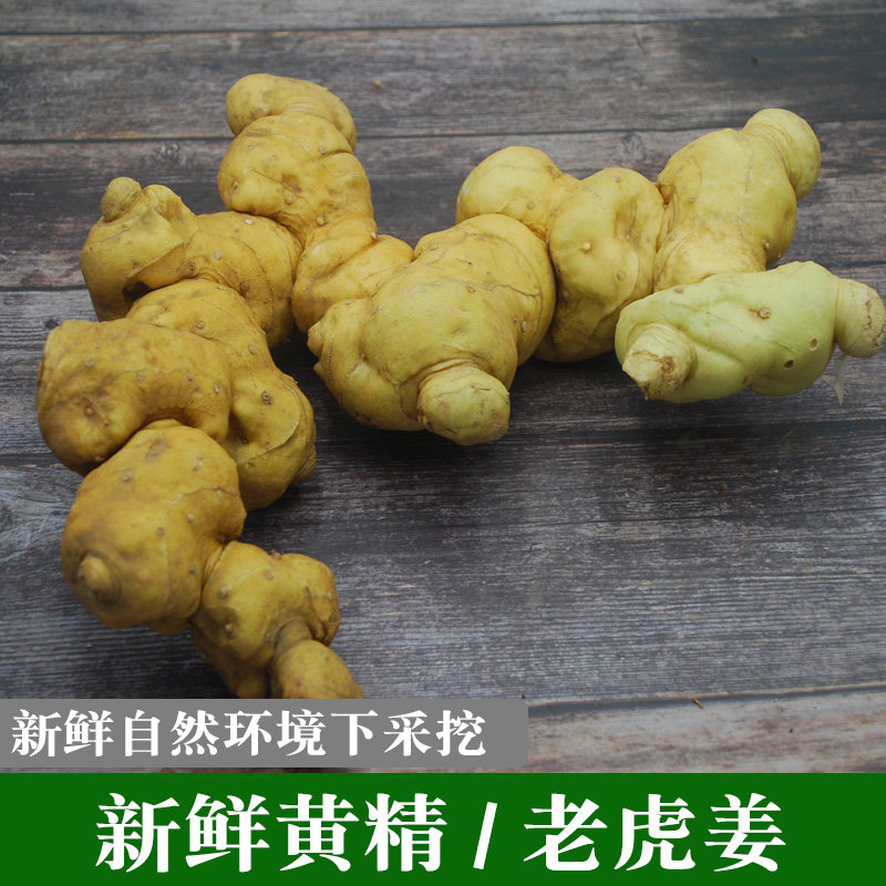 贵州鲜黄精鸡头黄精新鲜老虎姜滇黄精生黄精野山九蒸九晒中药材:滋补养生新选择🌿-黄精-淘宝百科网