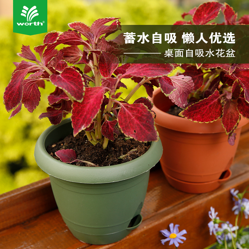 Wushworth Worth Watering Pot Family Garden Balcony Desktop Flower Flower with Flower Balcony