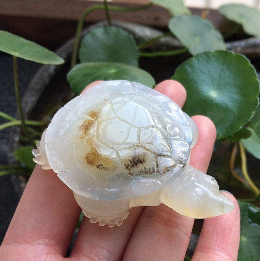 Yang Yujia Yunnan Longling Natural Yellow Dragon Jade Yangyan River Water Plants and Flowers Carved Longevity Without Borders Turtle Tea Pet Hand Play