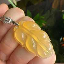 Yang Yujia Burmese natural yellow dragon jade glass chicken oil gold branch jade leaf 925 silver clavicle pendant certificate new