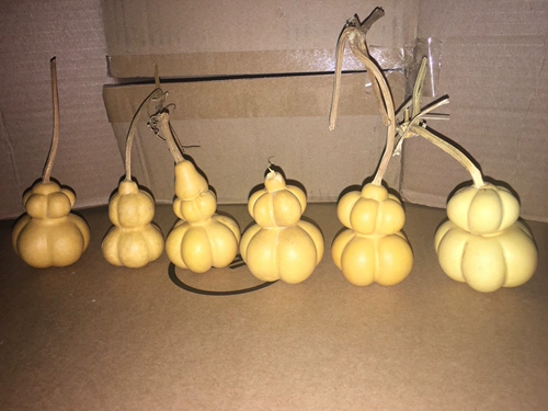 Бесплатная доставка высокой качественной